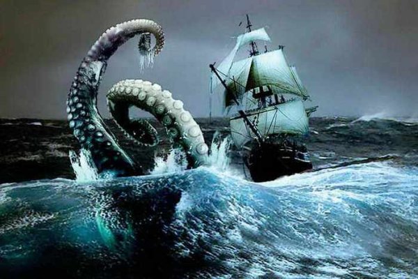 Http kraken